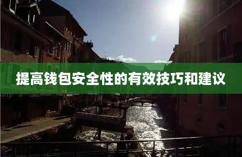 提高钱包安全性的有效技巧和建议