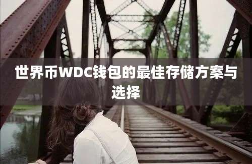 世界币WDC钱包的最佳存储方案与选择