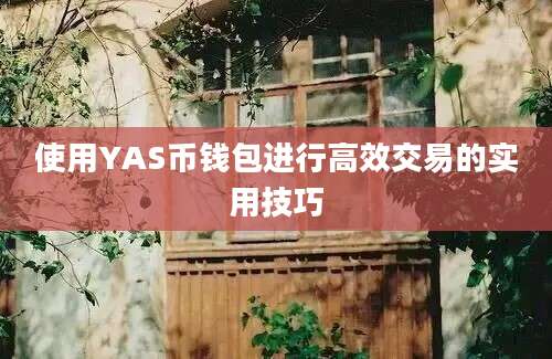 使用YAS币钱包进行高效交易的实用技巧