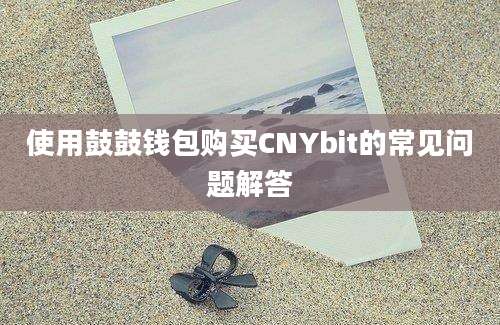 使用鼓鼓钱包购买CNYbit的常见问题解答