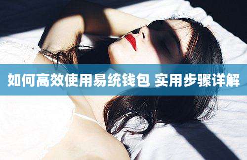 如何高效使用易统钱包 实用步骤详解