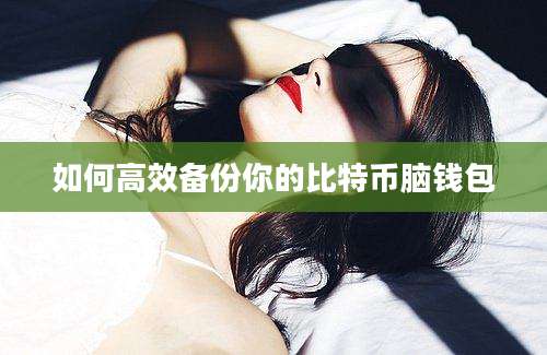 如何高效备份你的比特币脑钱包