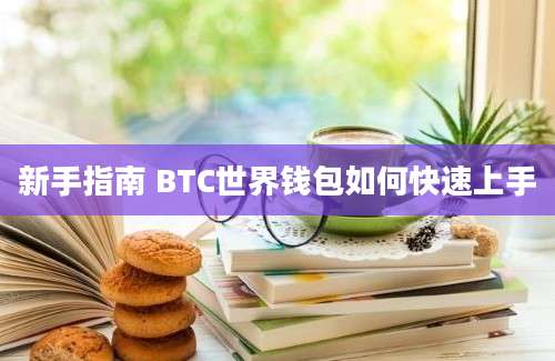 新手指南 BTC世界钱包如何快速上手