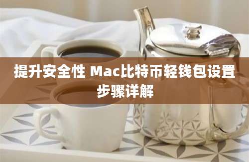 提升安全性 Mac比特币轻钱包设置步骤详解