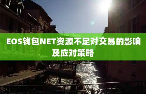 EOS钱包NET资源不足对交易的影响及应对策略