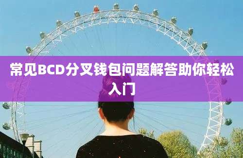 常见BCD分叉钱包问题解答助你轻松入门