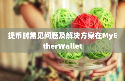 提币时常见问题及解决方案在MyEtherWallet