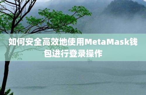 如何安全高效地使用MetaMask钱包进行登录操作