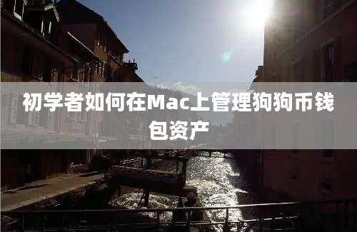 初学者如何在Mac上管理狗狗币钱包资产