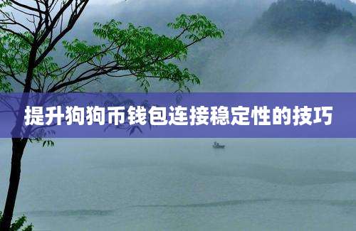 提升狗狗币钱包连接稳定性的技巧