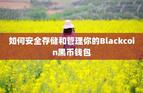 如何安全存储和管理你的Blackcoin黑币钱包