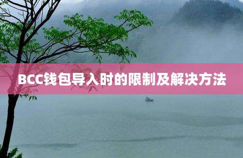 BCC钱包导入时的限制及解决方法