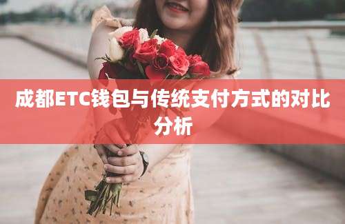 成都ETC钱包与传统支付方式的对比分析