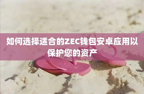 如何选择适合的ZEC钱包安卓应用以保护您的资产