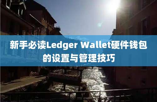 新手必读Ledger Wallet硬件钱包的设置与管理技巧