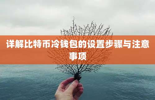 详解比特币冷钱包的设置步骤与注意事项