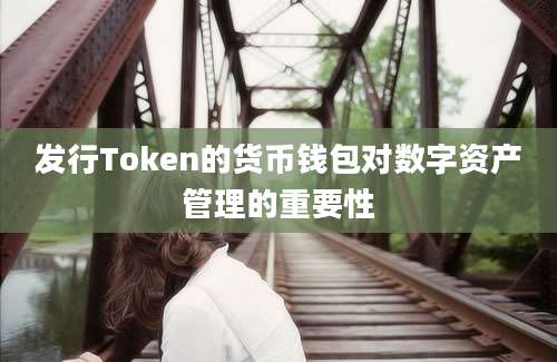 发行Token的货币钱包对数字资产管理的重要性