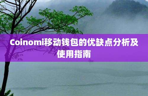 Coinomi移动钱包的优缺点分析及使用指南