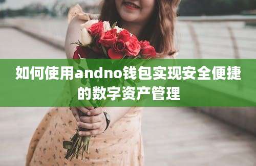 如何使用andno钱包实现安全便捷的数字资产管理