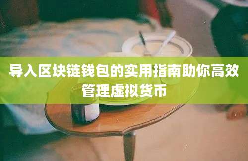 导入区块链钱包的实用指南助你高效管理虚拟货币