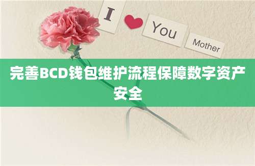 完善BCD钱包维护流程保障数字资产安全