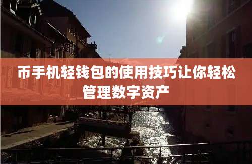 币手机轻钱包的使用技巧让你轻松管理数字资产