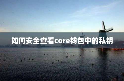 如何安全查看core钱包中的私钥