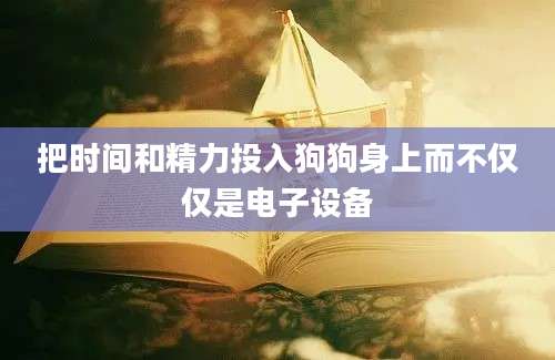 把时间和精力投入狗狗身上而不仅仅是电子设备