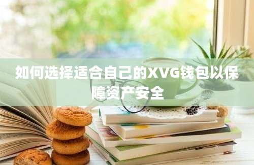 如何选择适合自己的XVG钱包以保障资产安全