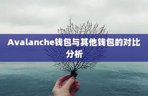 Avalanche钱包与其他钱包的对比分析