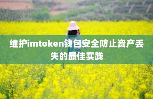 维护imtoken钱包安全防止资产丢失的最佳实践