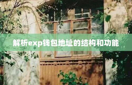 解析exp钱包地址的结构和功能