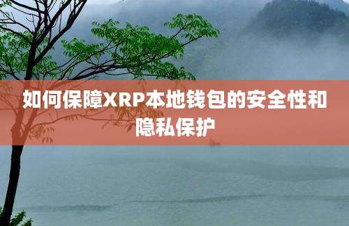 如何保障XRP本地钱包的安全性和隐私保护