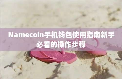 Namecoin手机钱包使用指南新手必看的操作步骤