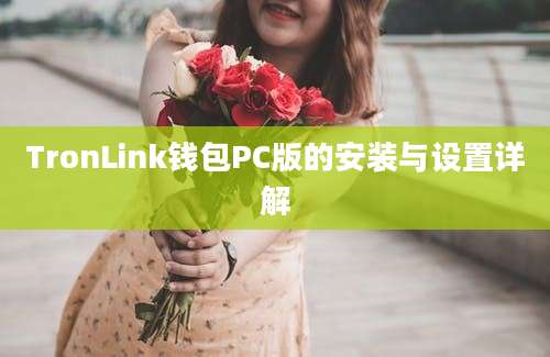 TronLink钱包PC版的安装与设置详解