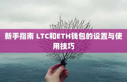 新手指南 LTC和ETH钱包的设置与使用技巧