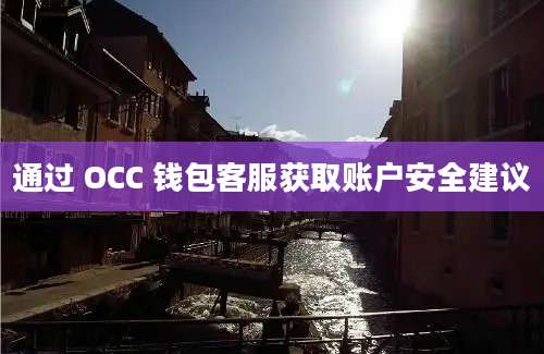 通过 OCC 钱包客服获取账户安全建议