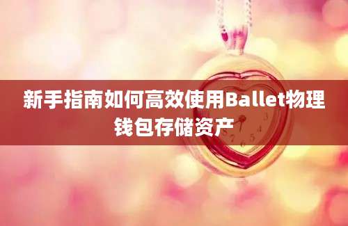 新手指南如何高效使用Ballet物理钱包存储资产