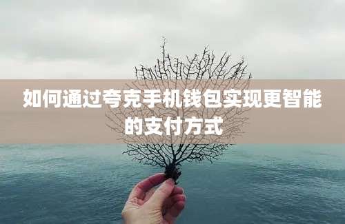 如何通过夸克手机钱包实现更智能的支付方式