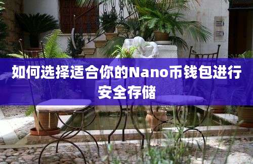 如何选择适合你的Nano币钱包进行安全存储