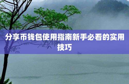 分享币钱包使用指南新手必看的实用技巧