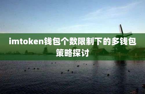 imtoken钱包个数限制下的多钱包策略探讨