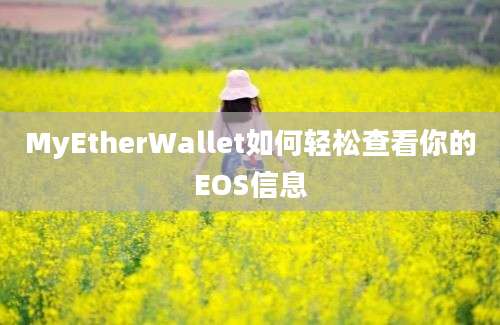 MyEtherWallet如何轻松查看你的EOS信息