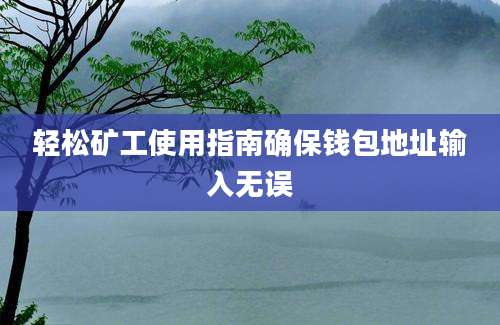 轻松矿工使用指南确保钱包地址输入无误