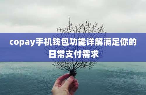 copay手机钱包功能详解满足你的日常支付需求