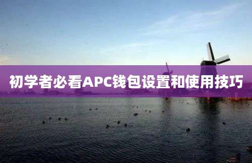 初学者必看APC钱包设置和使用技巧