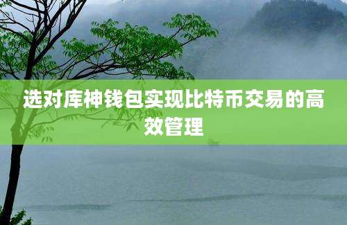 选对库神钱包实现比特币交易的高效管理