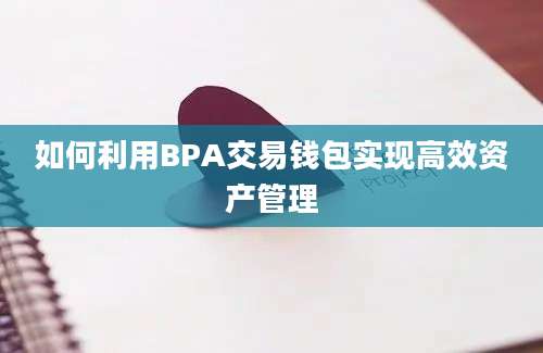 如何利用BPA交易钱包实现高效资产管理