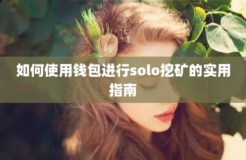 如何使用钱包进行solo挖矿的实用指南