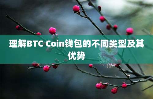 理解BTC Coin钱包的不同类型及其优势